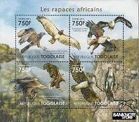 *Známky Togo 2011 Africkí vtáci, MNH - Kliknutím na obrázok zatvorte -
